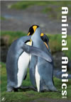 We supply wall calendars, desk calendars and even recycled calendars complete with your branding or logo. 